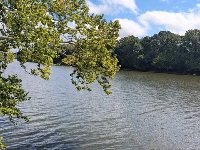 Land for sale in Selma, Dallas County