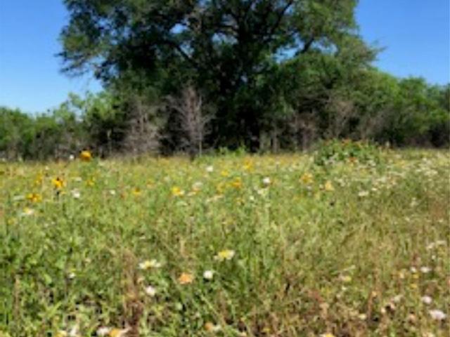 Farm for sale in Lockhart, Texas