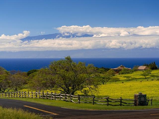 Land for sale in Hawi, Hawaii