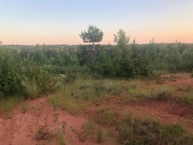 Land for sale in Abbeville, South Carolina