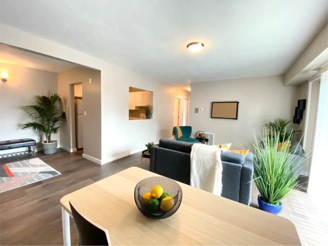 Apartment for rent in Dorchester, Boston