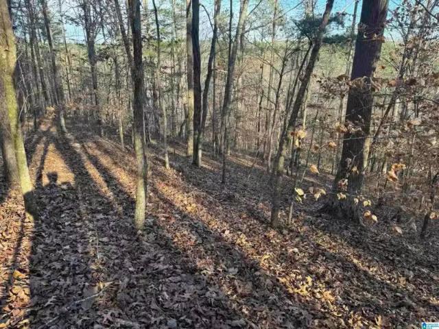 House for rent in Jacksonville, Alabama