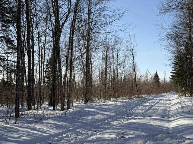Land for sale in Skandia, Michigan