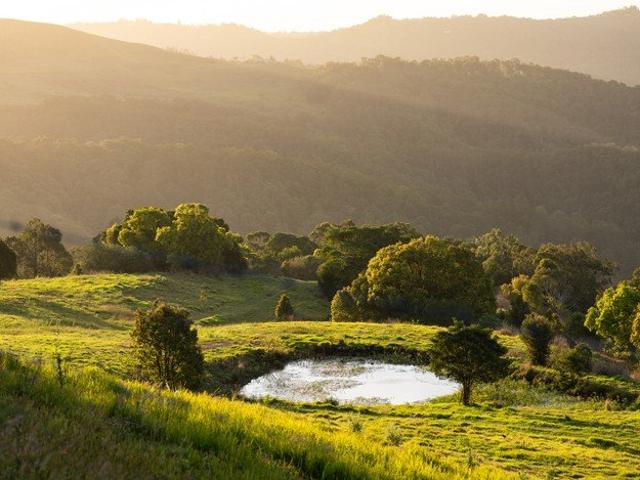 Land for sale in Kings Creek, Queensland