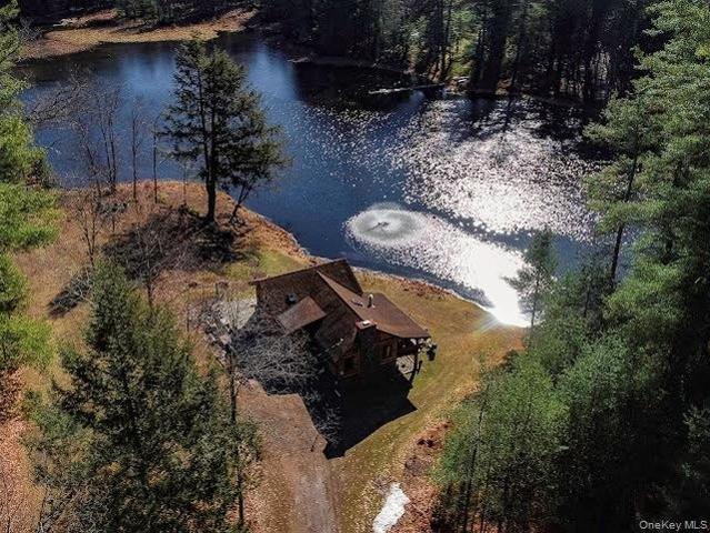 House for sale in Barryville, New York
