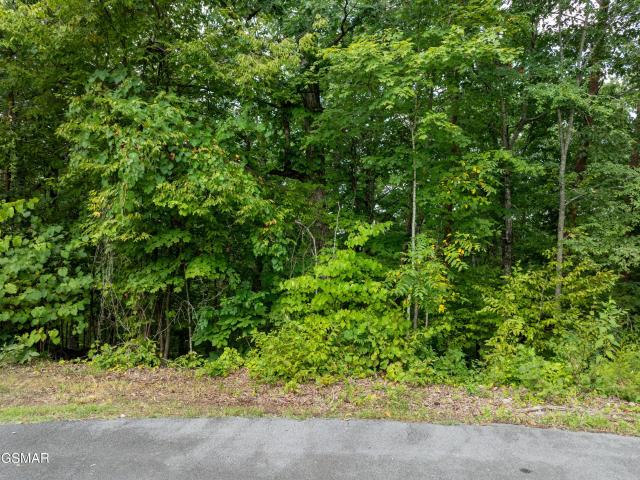 Land for sale in Sevierville, East Tennessee