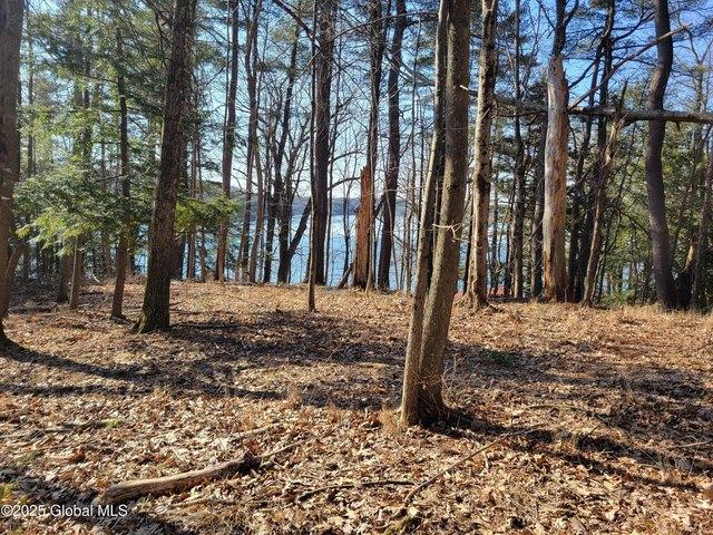 Land for sale in Sand Lake, New York