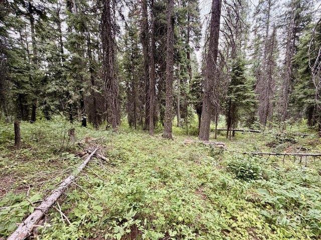 Land for sale in Donnelly, Idaho