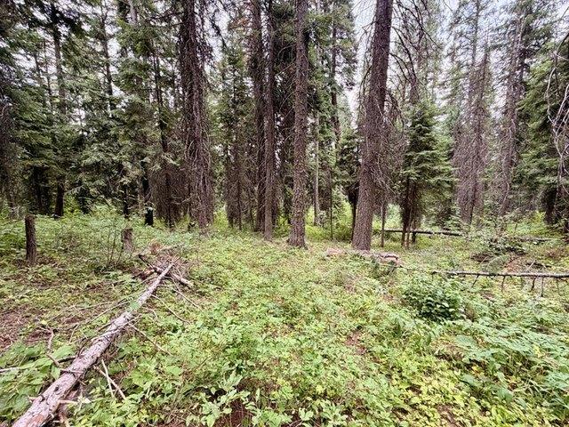 Land for sale in Donnelly, Idaho