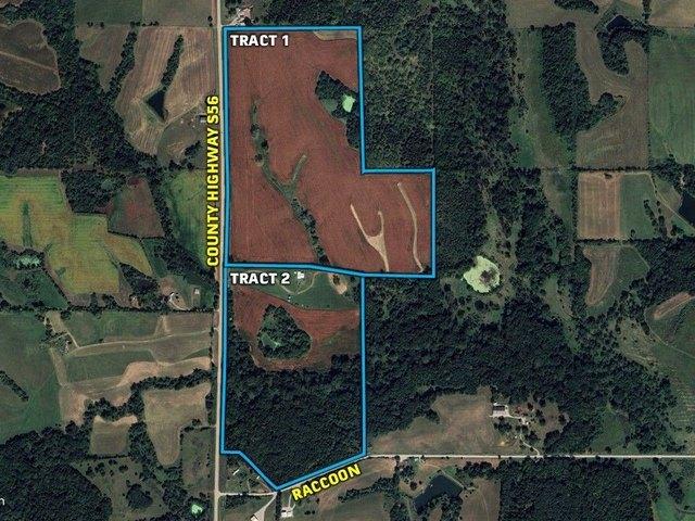 Land for sale in Iowa
