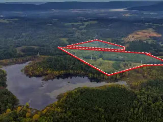 House for rent in Scottsboro, Alabama