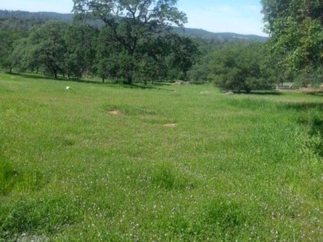 Land for sale in California
