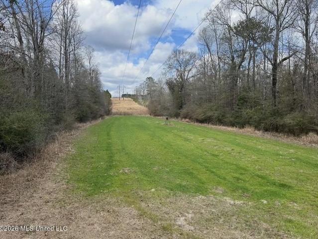 Land for sale in Beaumont, Mississippi