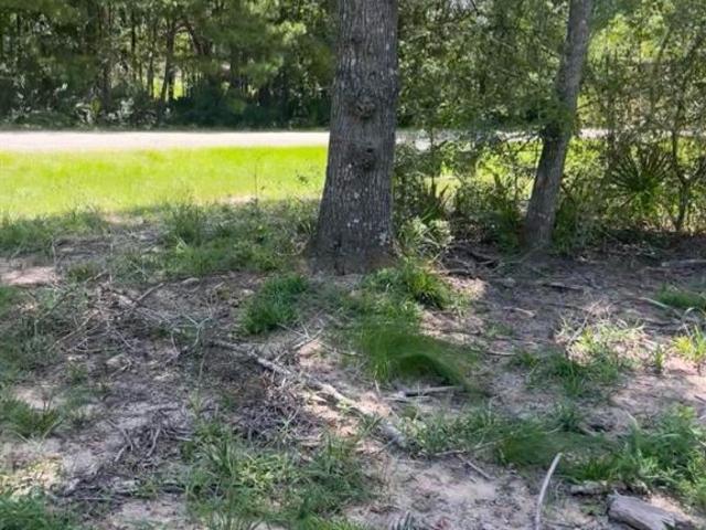 Land for sale in Walker, Texas