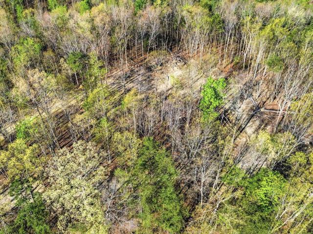 Land for sale in Kentucky
