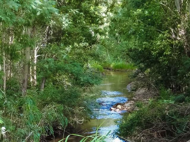 Farm for sale in Durbanville, Western Cape