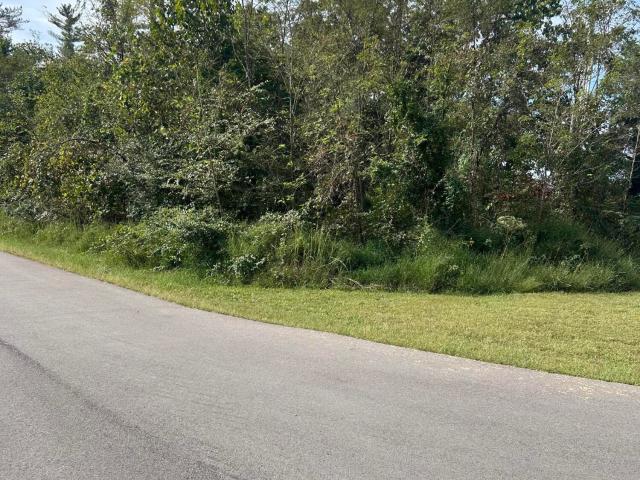 Land for sale in Murray, Calloway County