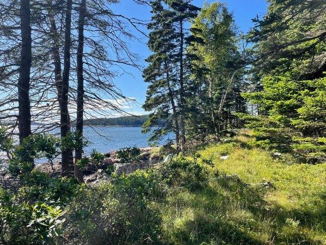 Land for sale in Winter Harbor, Maine