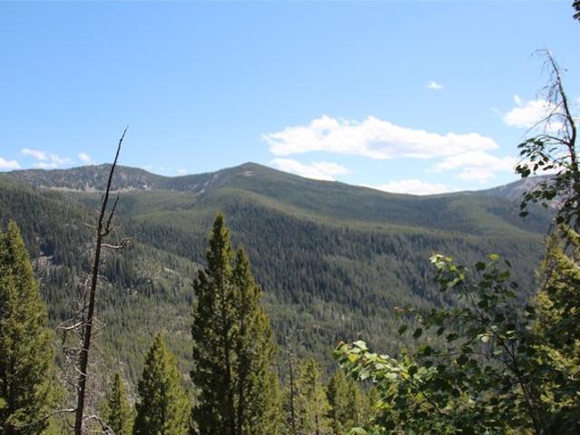Land for sale in Granite, Montana