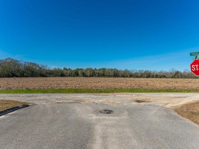 Land for sale in Florala, Alabama