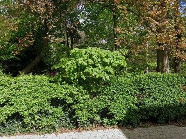 Appartement location à Uccle, Bruxelles