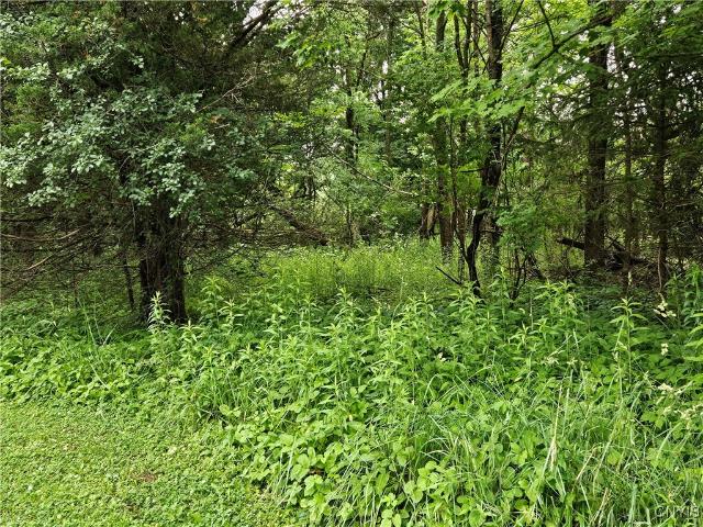 Land for sale in Cazenovia, New York