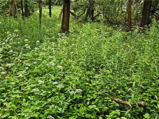 Land for sale in Cazenovia, New York