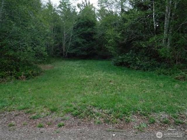 Land for sale in South Bend, Washington