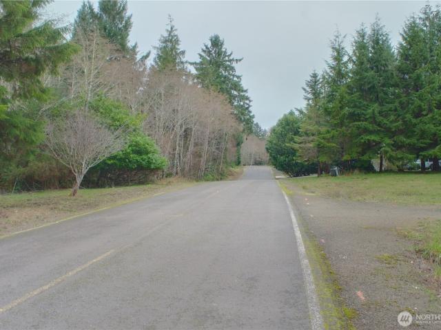 Land for sale in South Bend, Washington