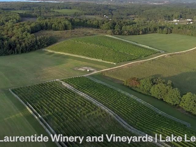 Commercial for sale in Michigan