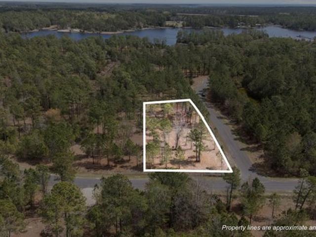 Land for sale in Vandemere, North Carolina