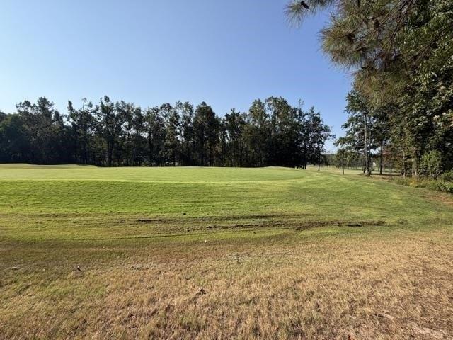 Land for sale in Counce, West Tennessee