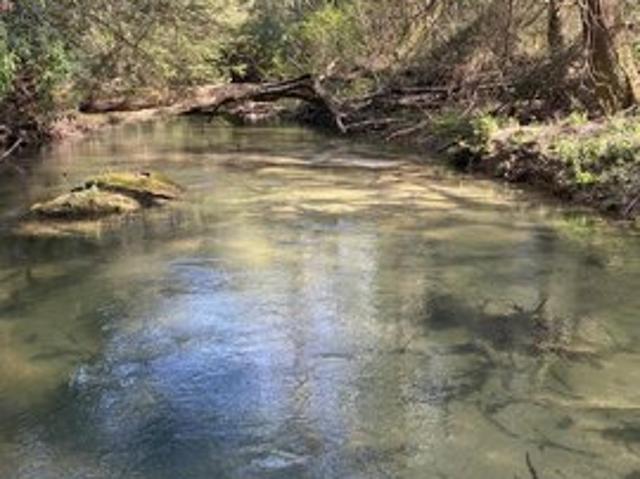 Farm for sale in Tennessee