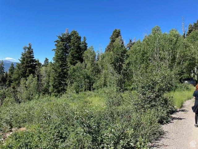 Land for sale in Fairview, Utah