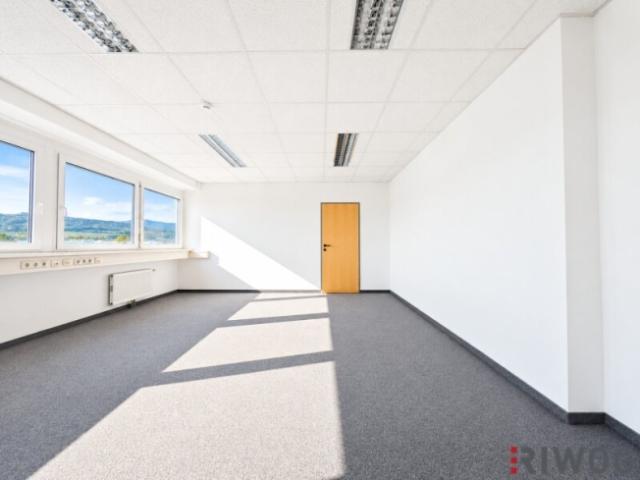 Gewerbe mieten in Wiener Neudorf, Bezirk Mödling