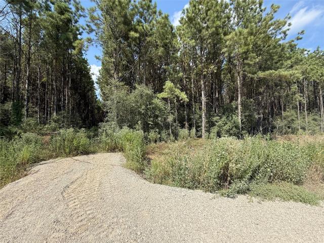 Land for sale in Sour Lake, Texas
