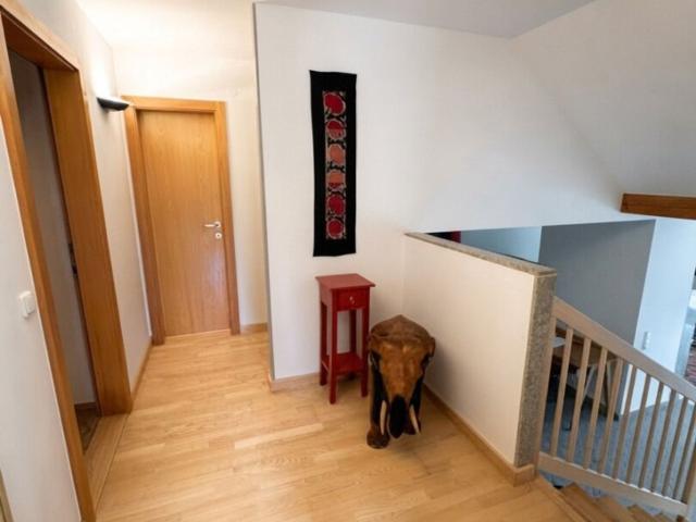 Wohnung mieten in Zell am See, Bezirk Zell am See