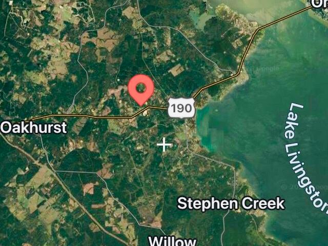 Land for sale in Point Blank, San Jacinto County
