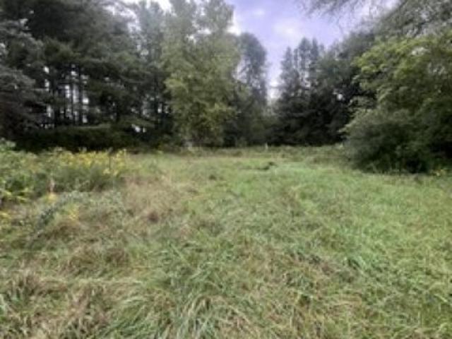 Land for sale in Mayville, Tuscola County