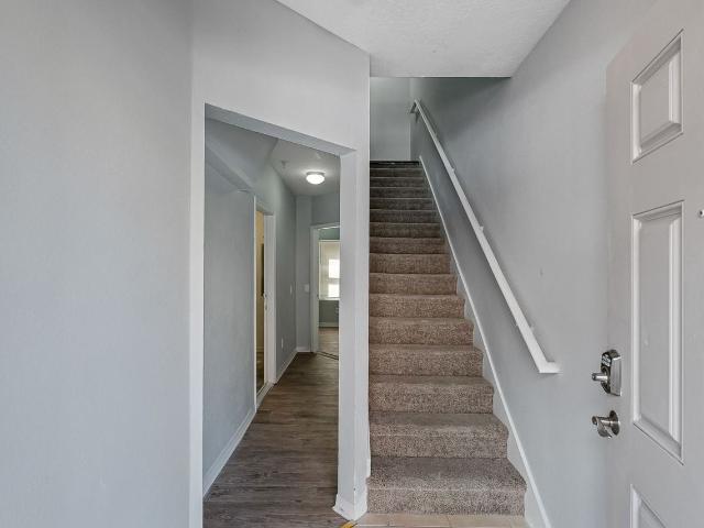 Apartment for rent in Tampa