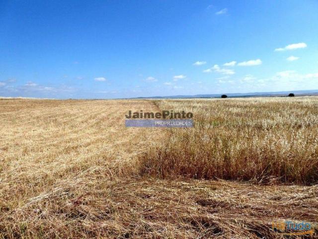 Terreno venda em Beja