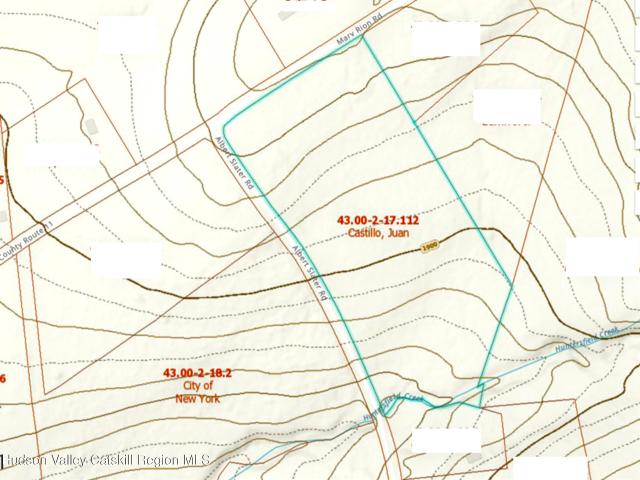 Land for sale in New York