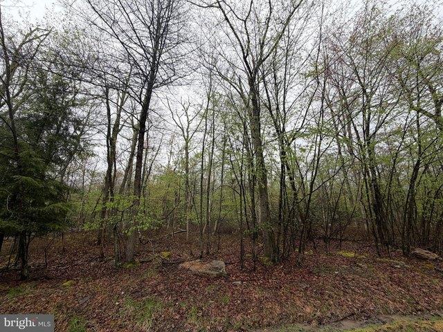 Land for sale in Zion Grove, Pennsylvania
