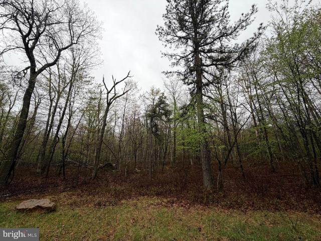 Land for sale in Zion Grove, Pennsylvania