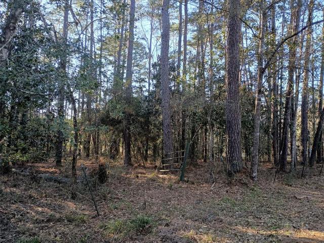 Land for sale in Woodville