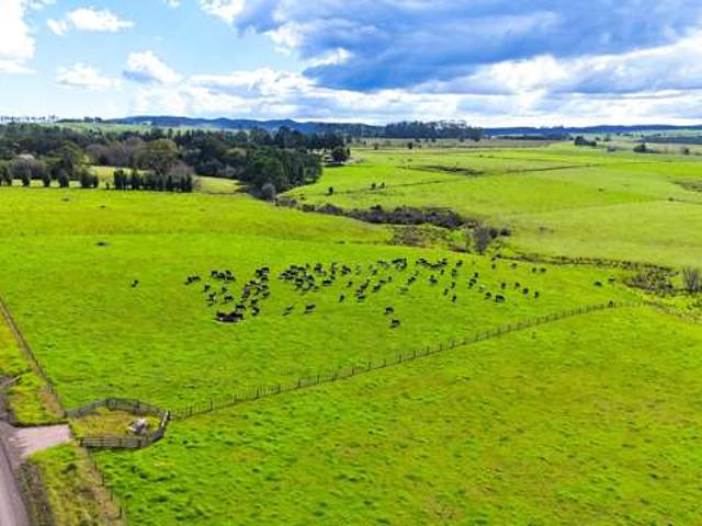 Property for sale in Karetu, Northland