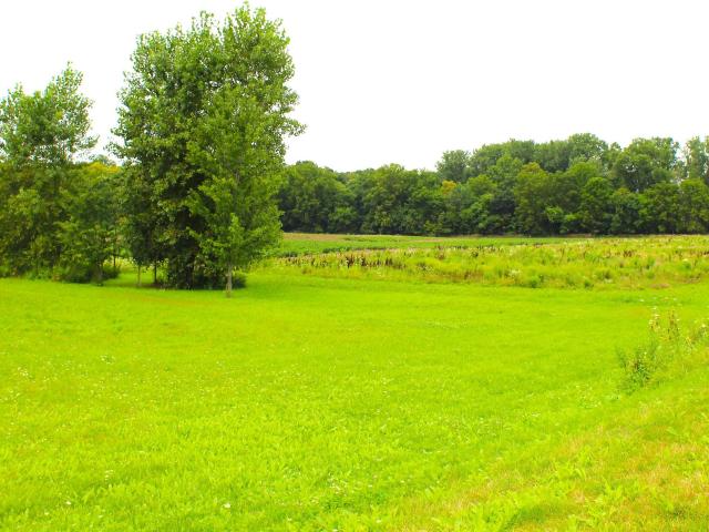 Land for sale in Waterloo, Indiana
