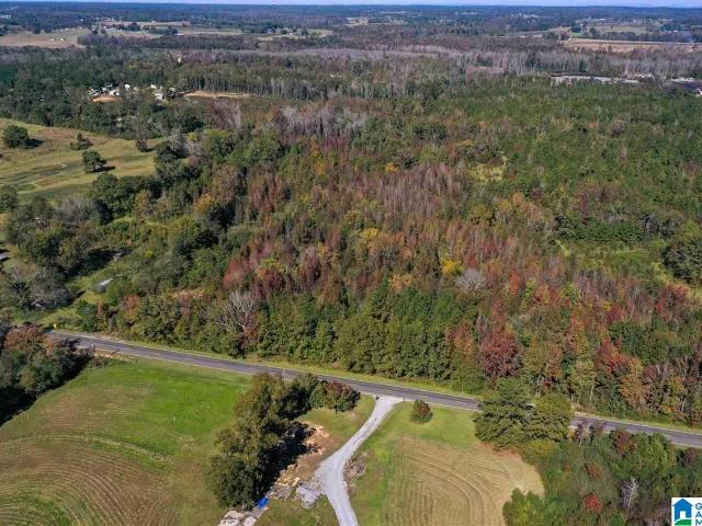 Land for sale in Clanton, Alabama
