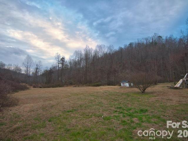 Land for sale in Saluda, North Carolina