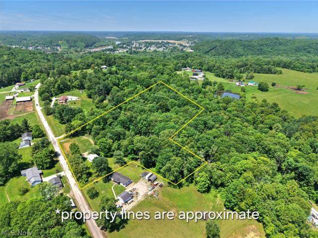 Land for sale in Blue Rock, Ohio